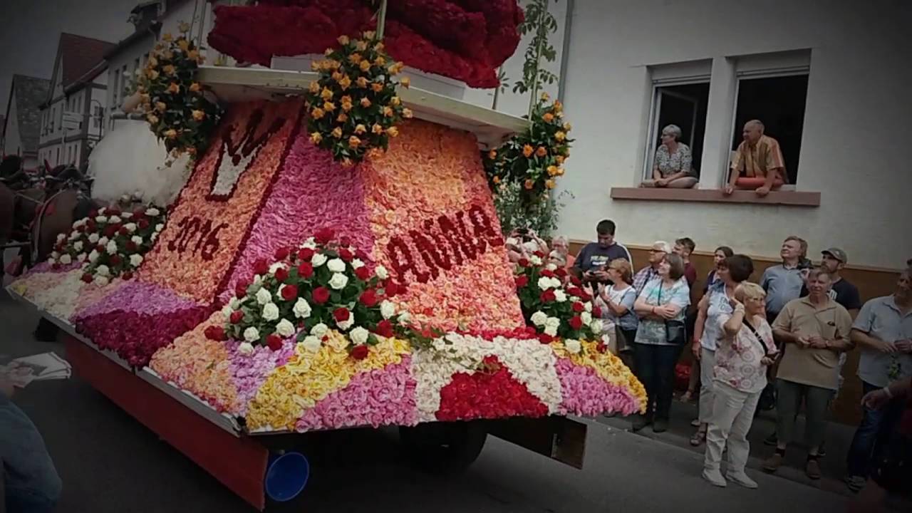 Steinfurth rosenfest 2016