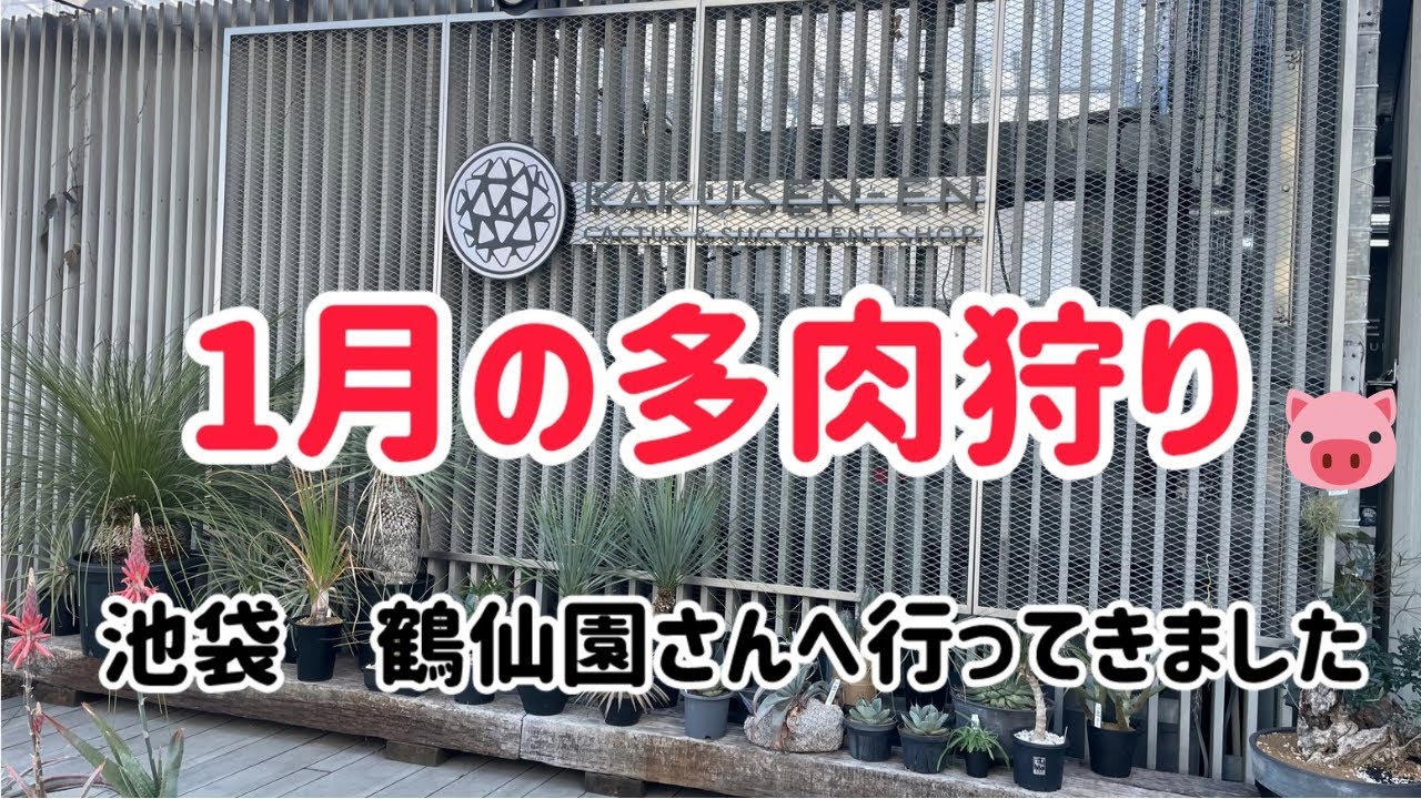 鶴仙園さんに行ってきました。購入品ご紹介します