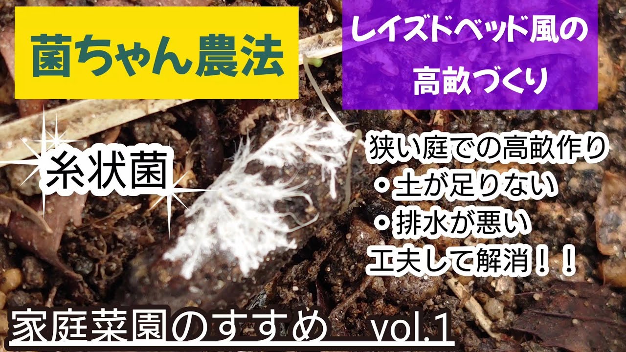 糸状菌で菌ちゃん野菜　家庭菜園のすすめvol.1　レイズドベッド風の高畝づくり　2023.2〜3