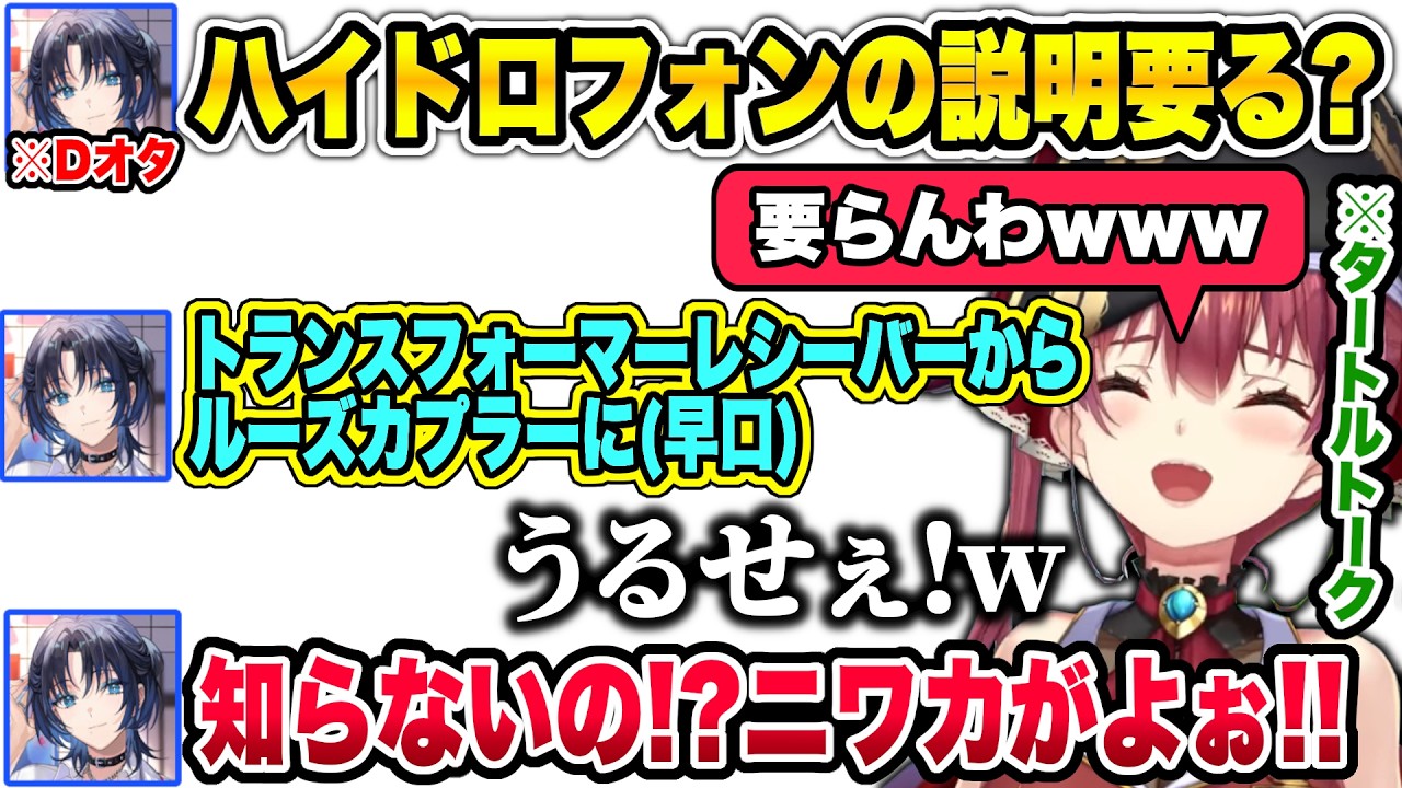 Dオタ青くんによる割とガチなタートルトークの指導に爆笑するマリン船長w【宝鐘マリン/火威青/ホロライブ】