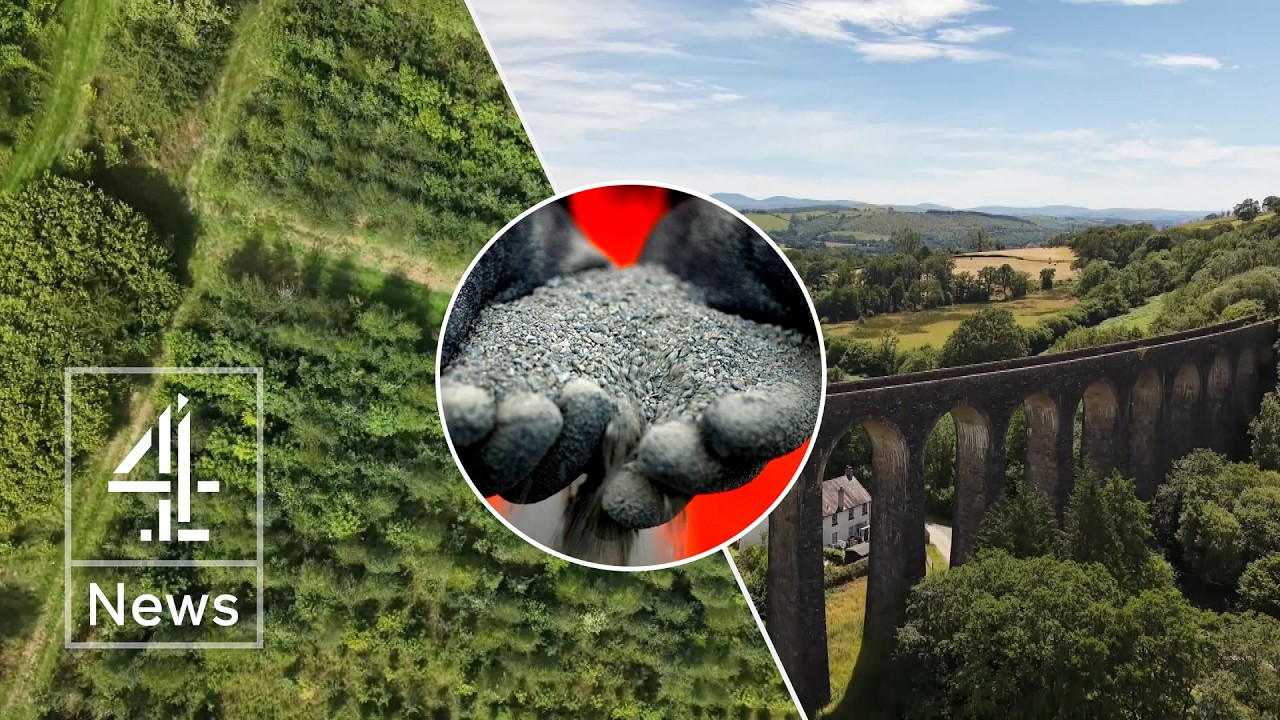 The &lsquo;magic dust&rsquo; that make trees able to absorb 30% more carbon