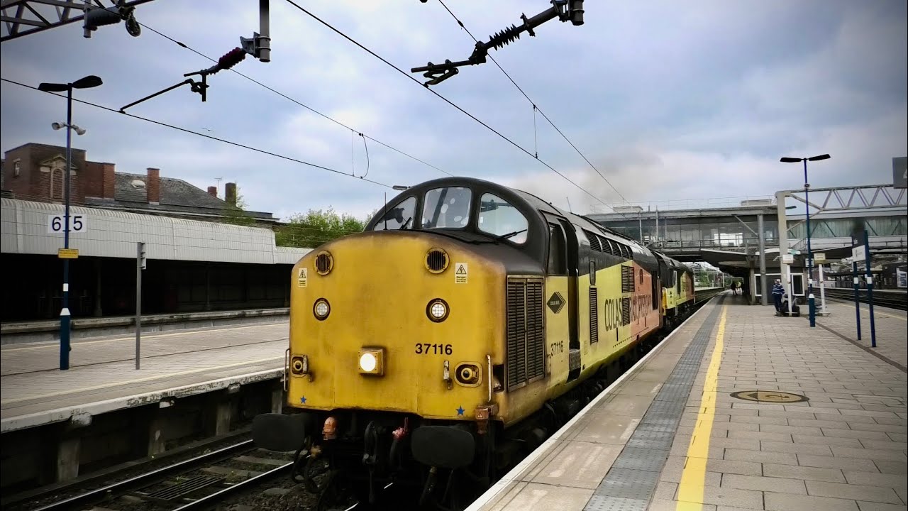 The video of Cats Crewe and Stafford with loads of epic moves 21/5/24