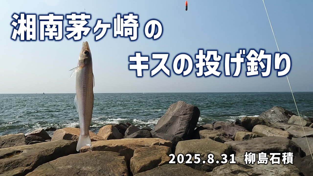 湘南茅ヶ崎のキスの投げ釣り 柳島石積20250831