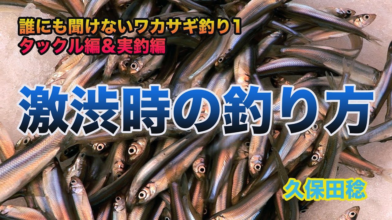 誰にも聞けないワカサギ釣り1 激渋時の釣り方 Smelt fishing that no one can ask Vol.1