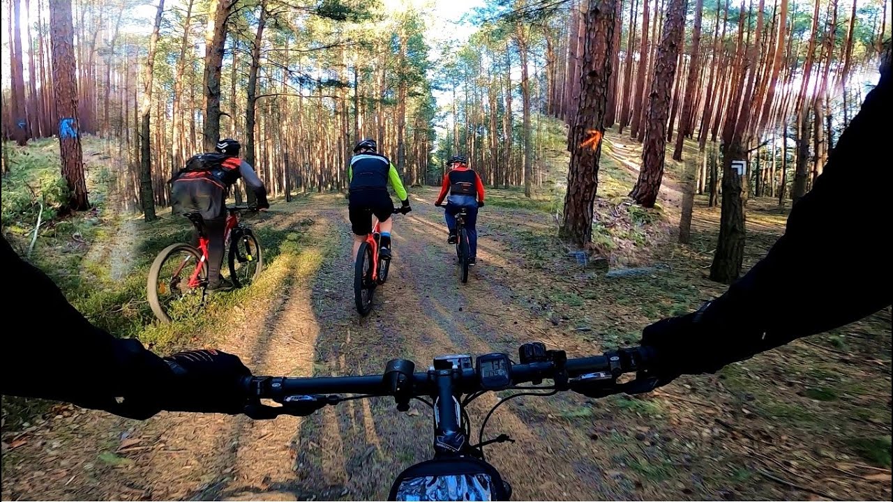 Przecieranie „Singli” na wzgórzach Piastowskich / Zielona Góra / Lubuskie