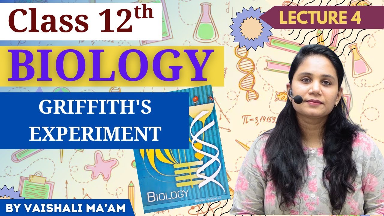 Griffith&rsquo;s Experiment Explained | Class 12 Biology Chap 5 | Molecular Basis of Inheritance | NEET