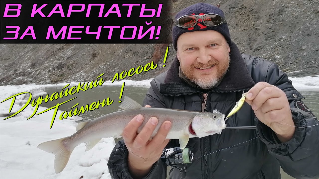 В Карпаты за мечтой! Дунайский лосось! Таймень!