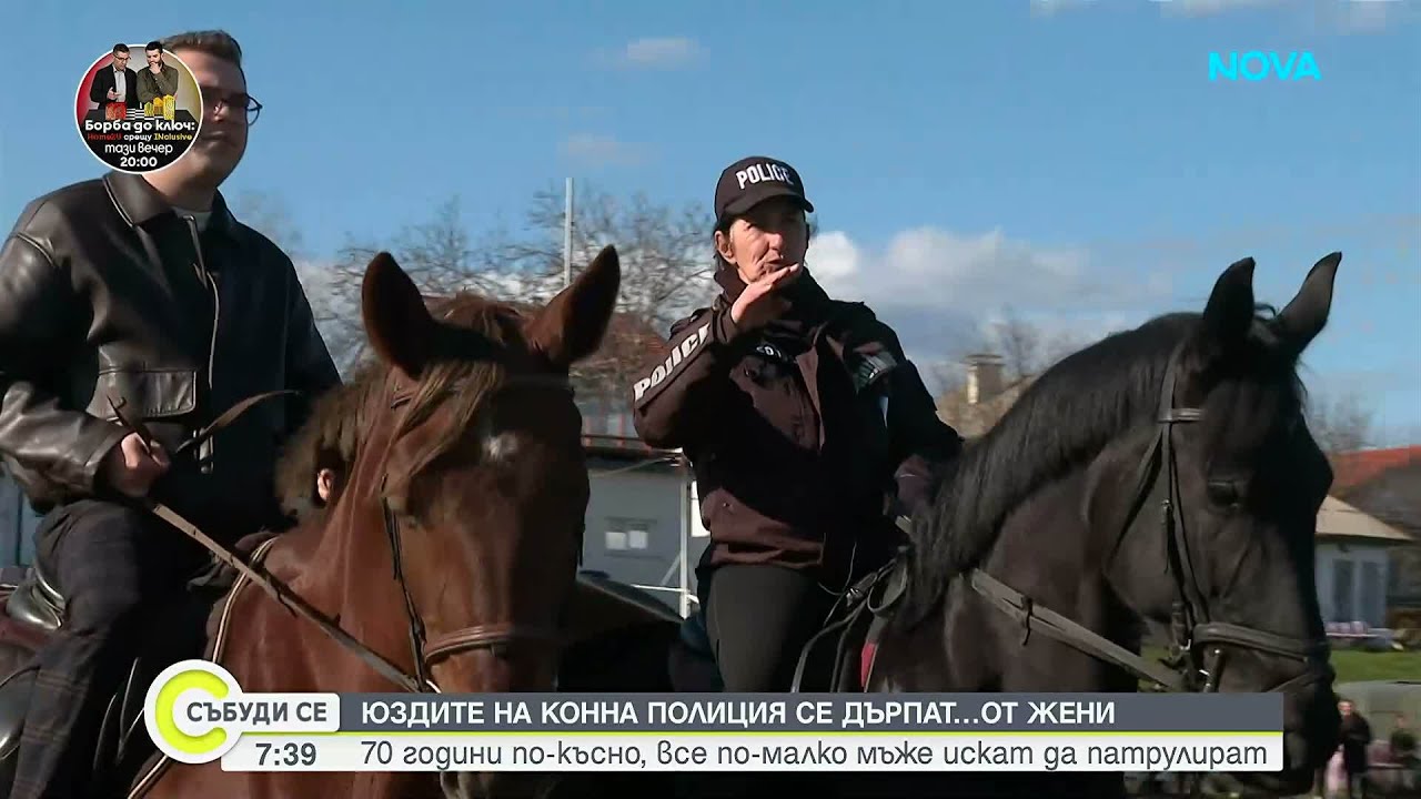 70 години от създаването на конната полиция