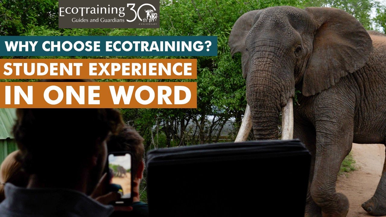 A year with EcoTraining in ONE Word | Professional Field Guide course l EcoTraining