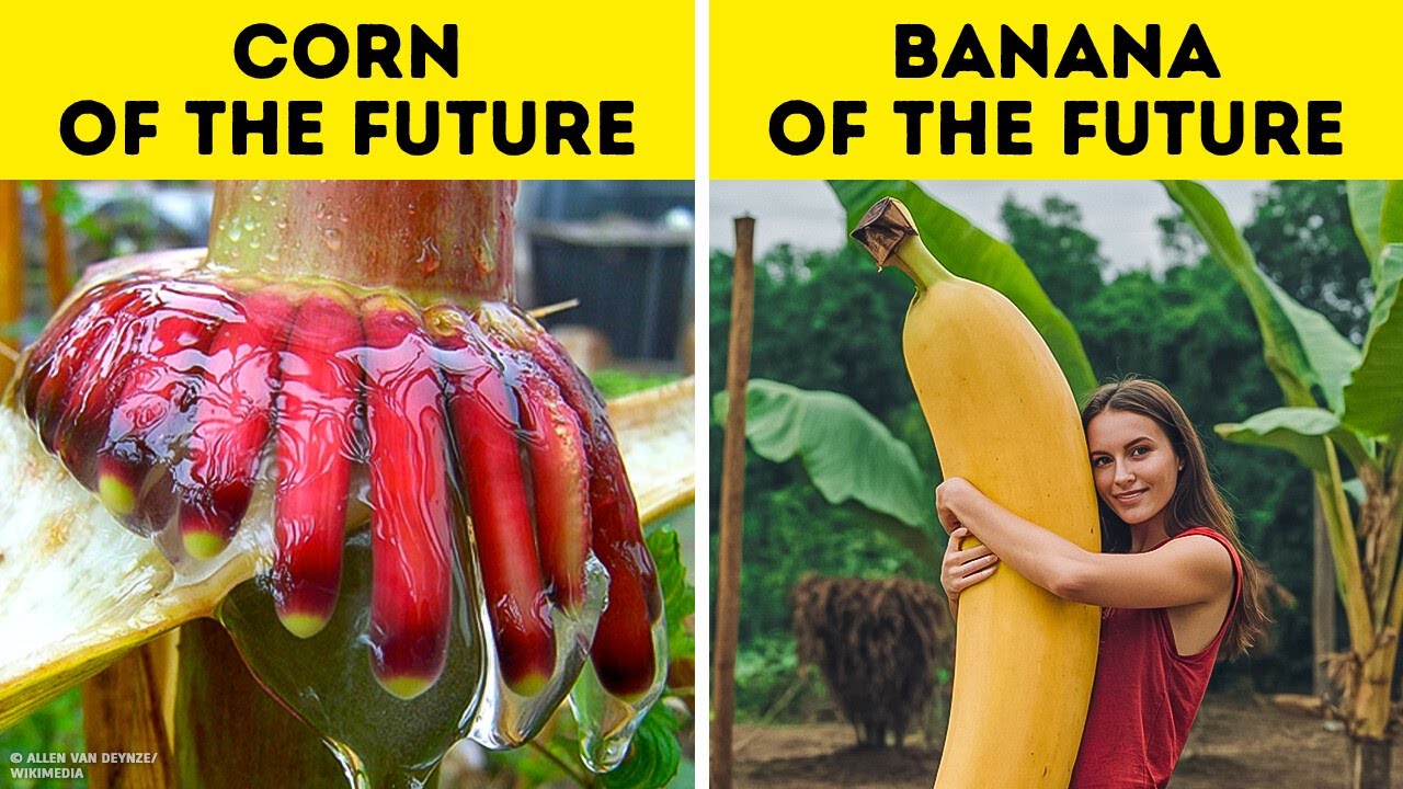 Scientist Found a Plant That Could Change the World
