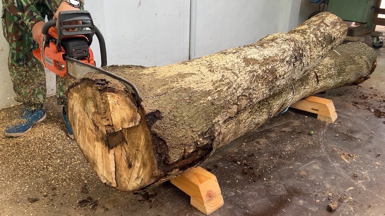 Maximizing the Potential of a Big Tree: Build A Unique And Sturdy Outdoor Furniture Set