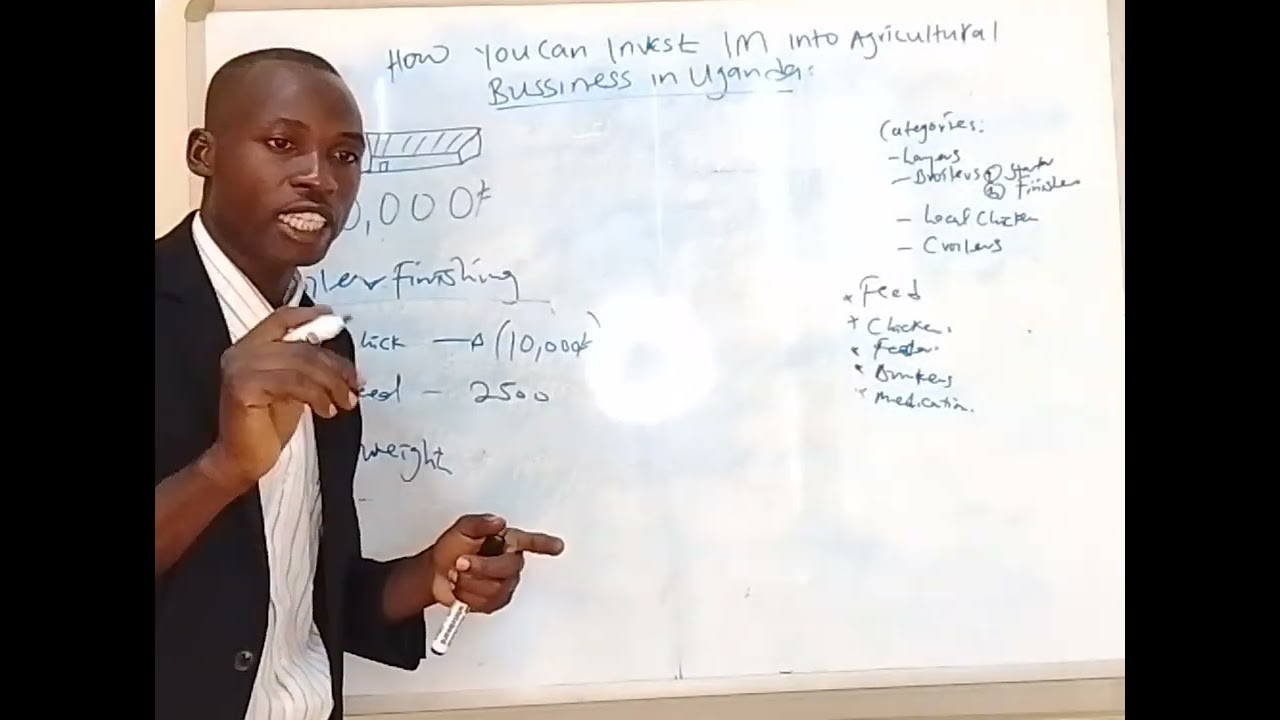 How you can invest 1M into agricultural business 