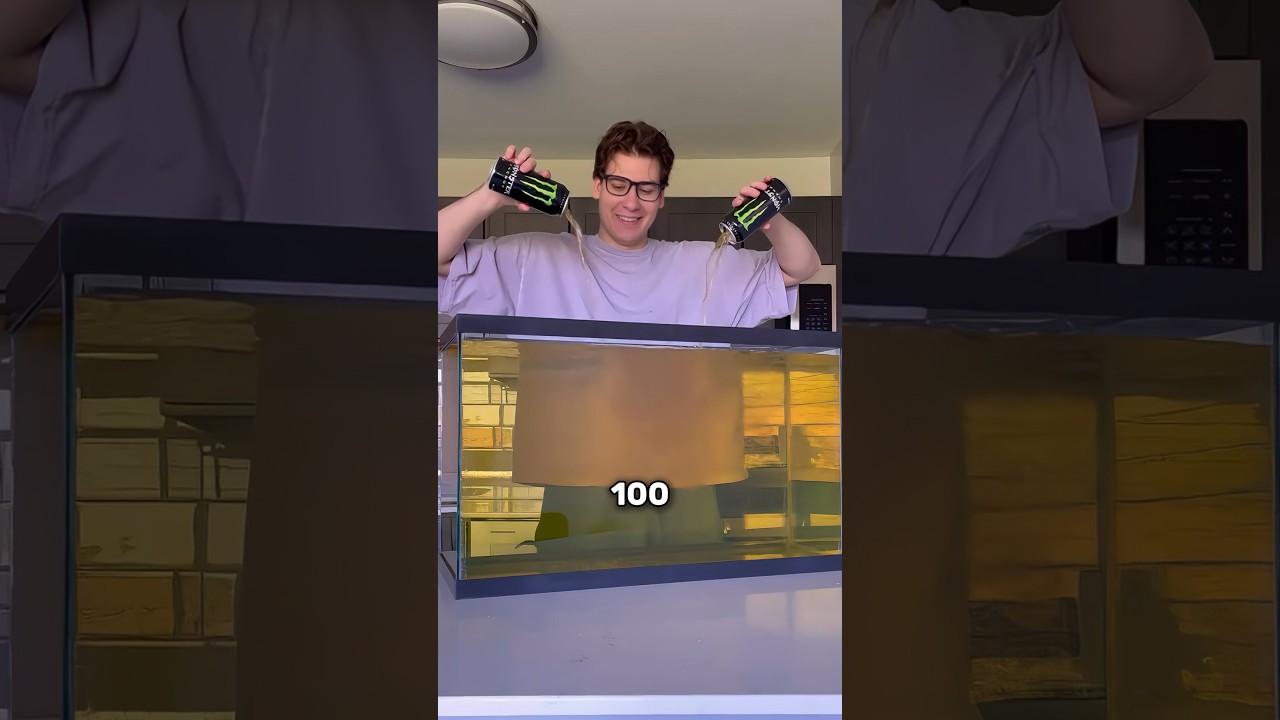 Drinking 100 Liters Of Energy Drink (@wallywhatthe)