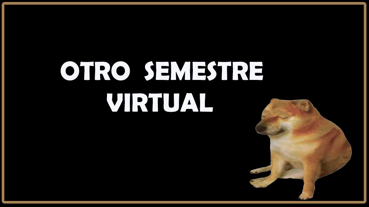 ESTUDIANDO MEDICINA HUMANA VIRTUAL- RECUERDOS MI ANTERIOR SEMESTRE VIRTUAL
