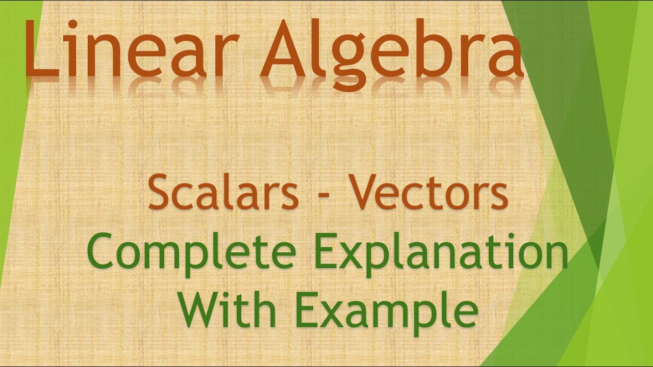 2 Scalars Vectors: Complete Explanation With Examples