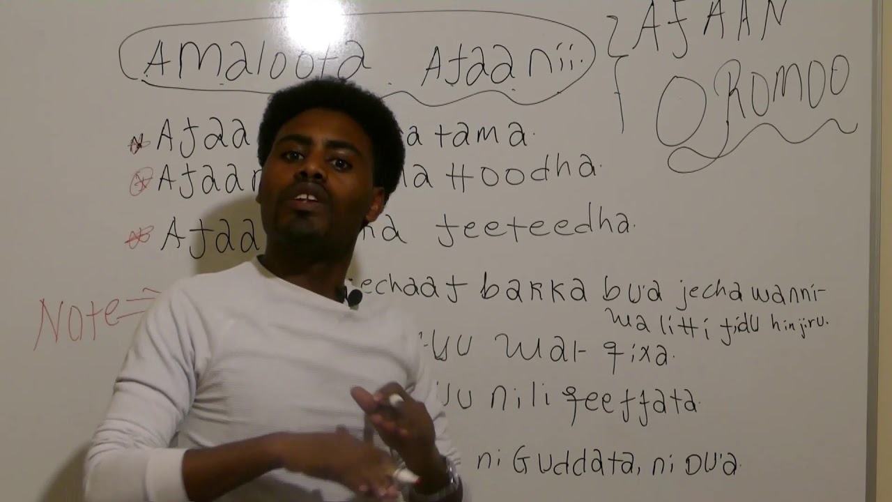 AMALOOTA AFAANII.