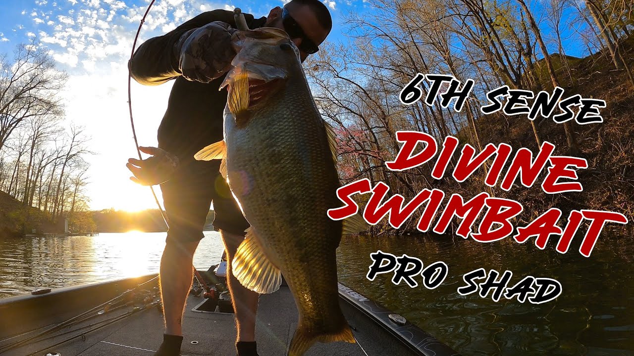 6th Sense Divine Swimbait UNEXPECTED Catch!