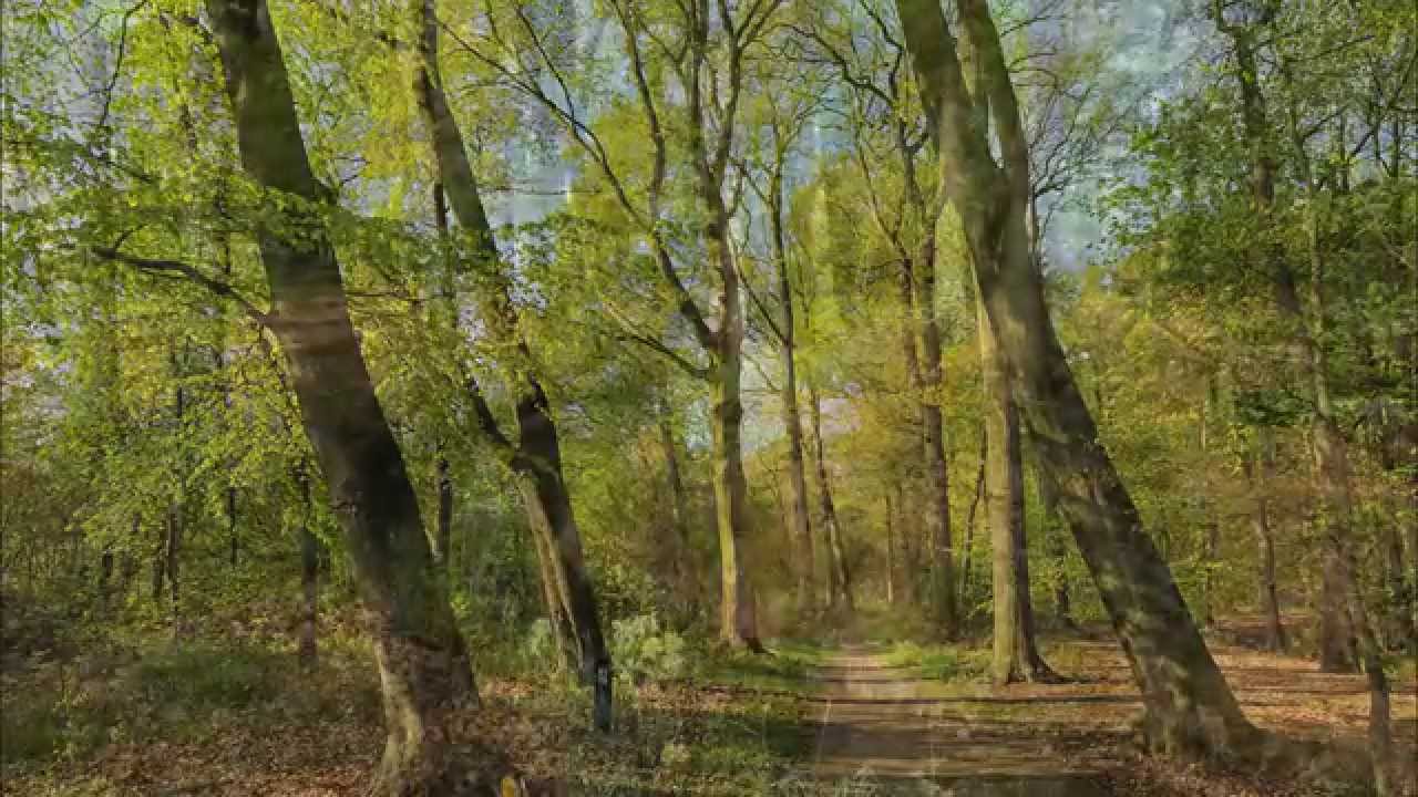 Beukenburgerpad - Een van de Klompenpaden in het Utrechtslandschap