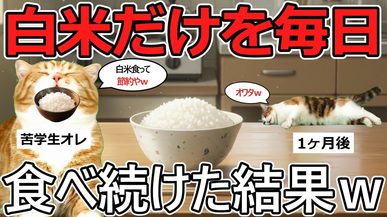 【猫ミーム】危険！毎日白米だけで１ヵ月過ごした結果ｗｗｗ【2chまとめ】
