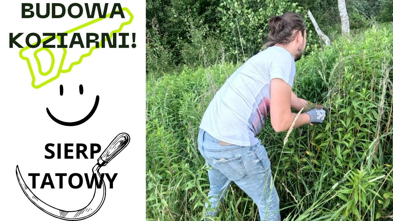 V78 W ŻYCIU MUSZĄ BYĆ EMOCJE! KOZY O ZACHODZIE SŁOŃCA | BUDOWA KOZIARNI