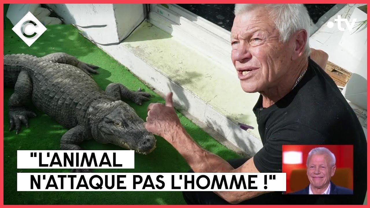À la rencontre de l’homme croco, Philippe Gillet - C à Vous - 29/03/2023