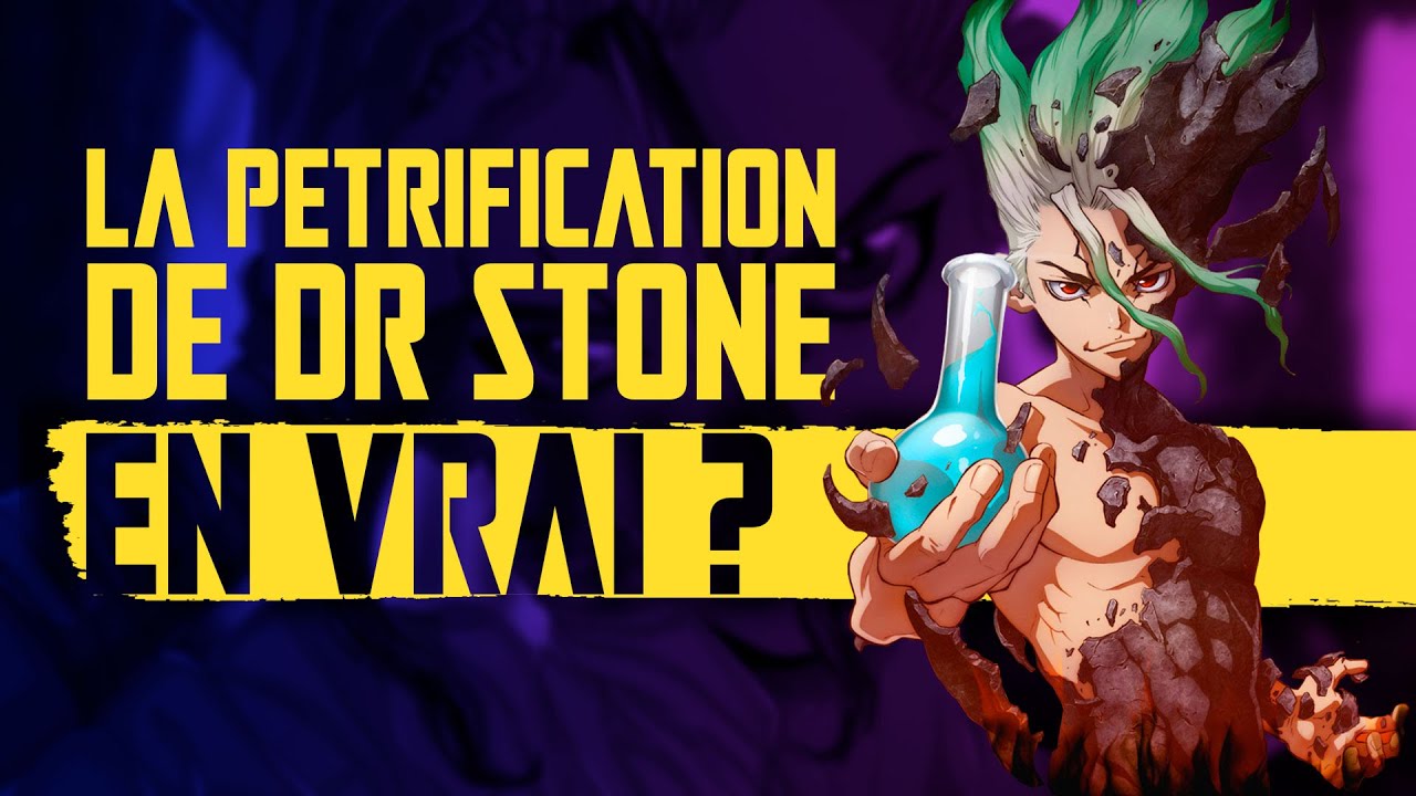 La pétrification dans Dr STONE en vrai, ça fait quoi ?