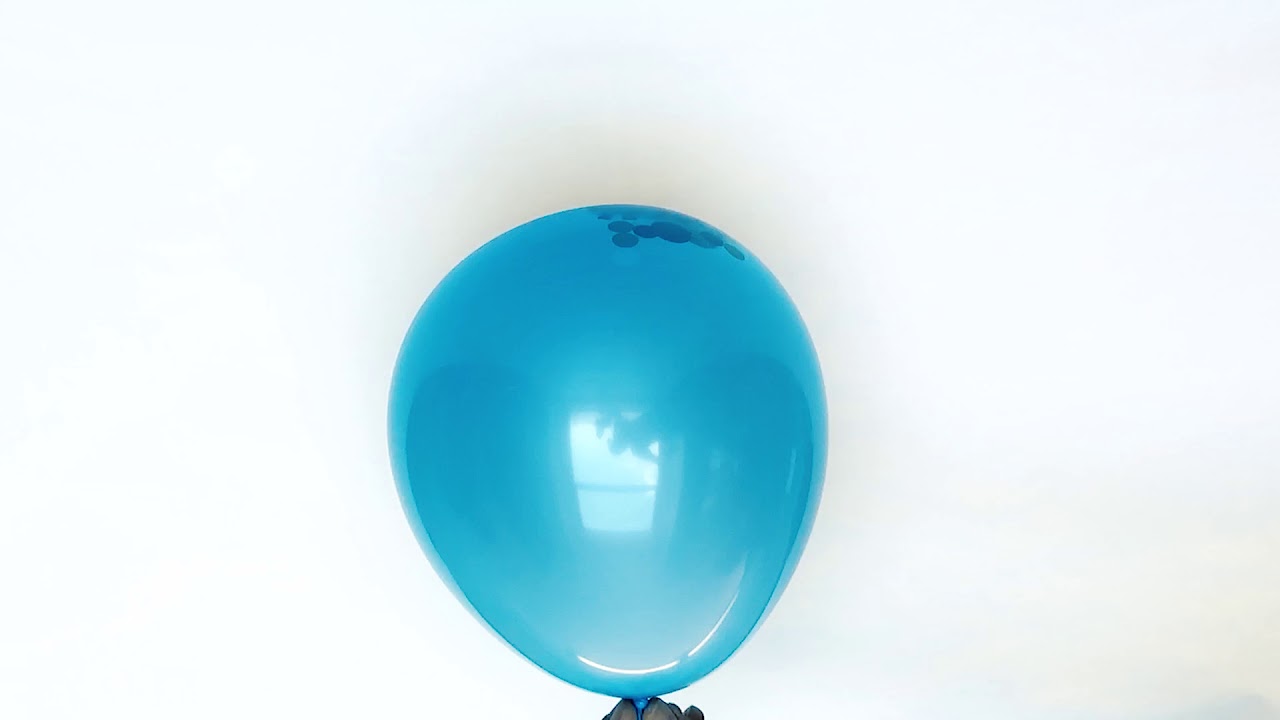 Blueberry Content - Balloon