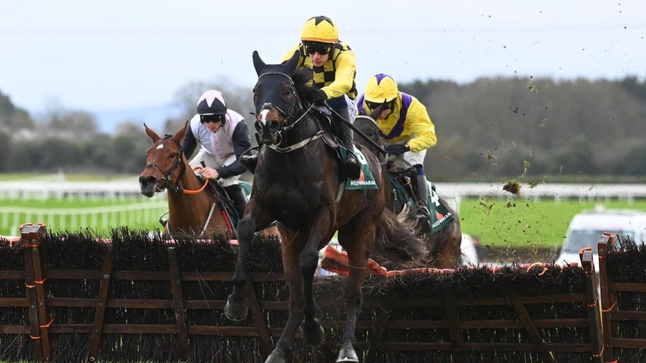 Wow! Anzadam creates huge impression for Willie Mullins at Fairyhouse 👀