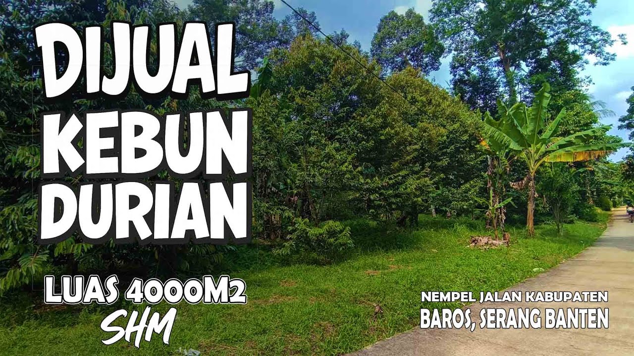 Dijual Kebun Durian Lt 4.000 M2 , Sertifikat , Nempel Jalan Kabupaten , Kec Baros.