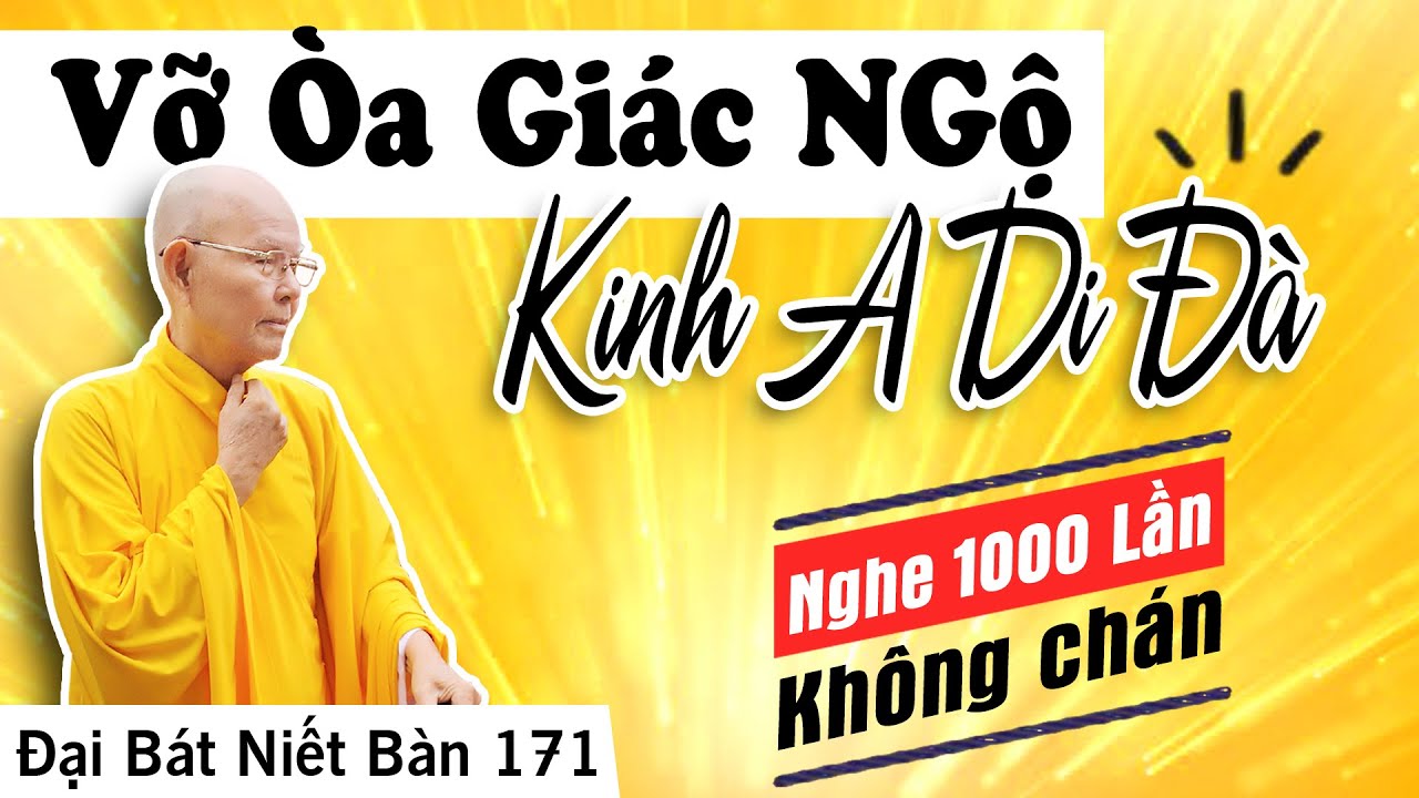 ĐẠI BÁT NIẾT BÀN kỳ 171 (Video) Vỡ Òa Giác Ngộ Kinh A Di Đà | HT Thích Từ Thông