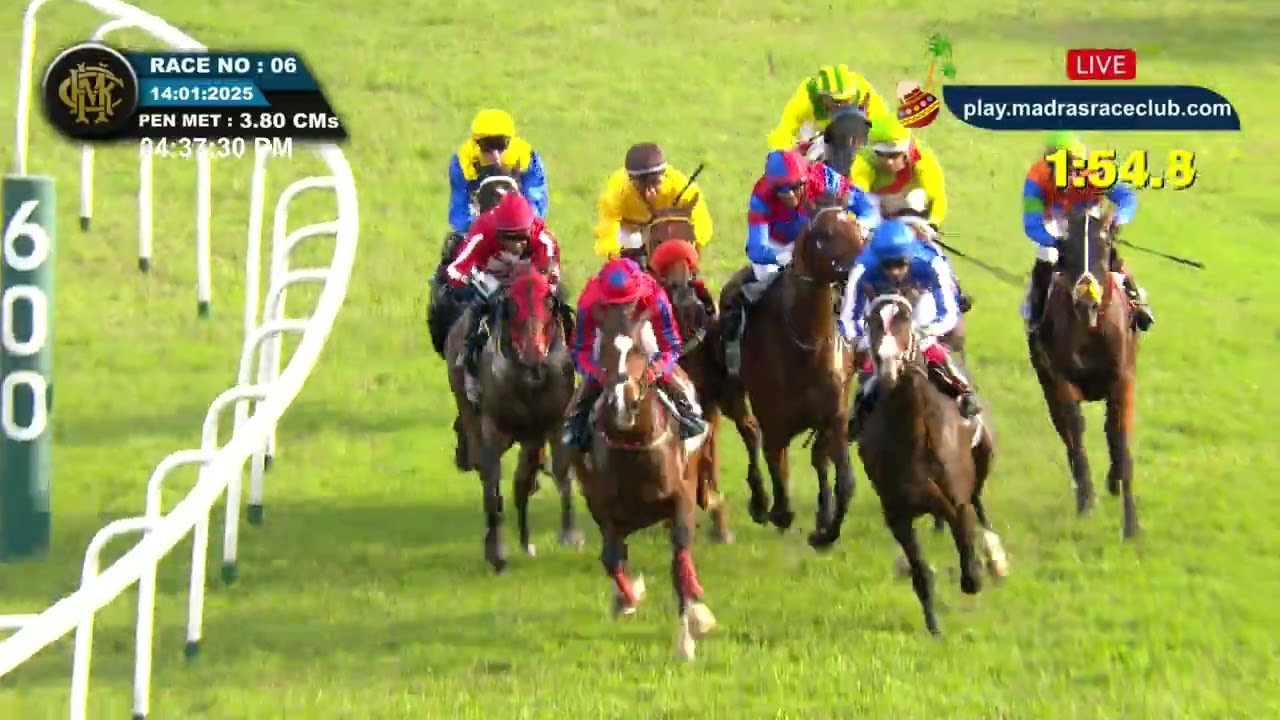RACE NO : 149 - KNOTTY LEGEND WINS - The HPSL South India Derby Stakes (Gr.1)
