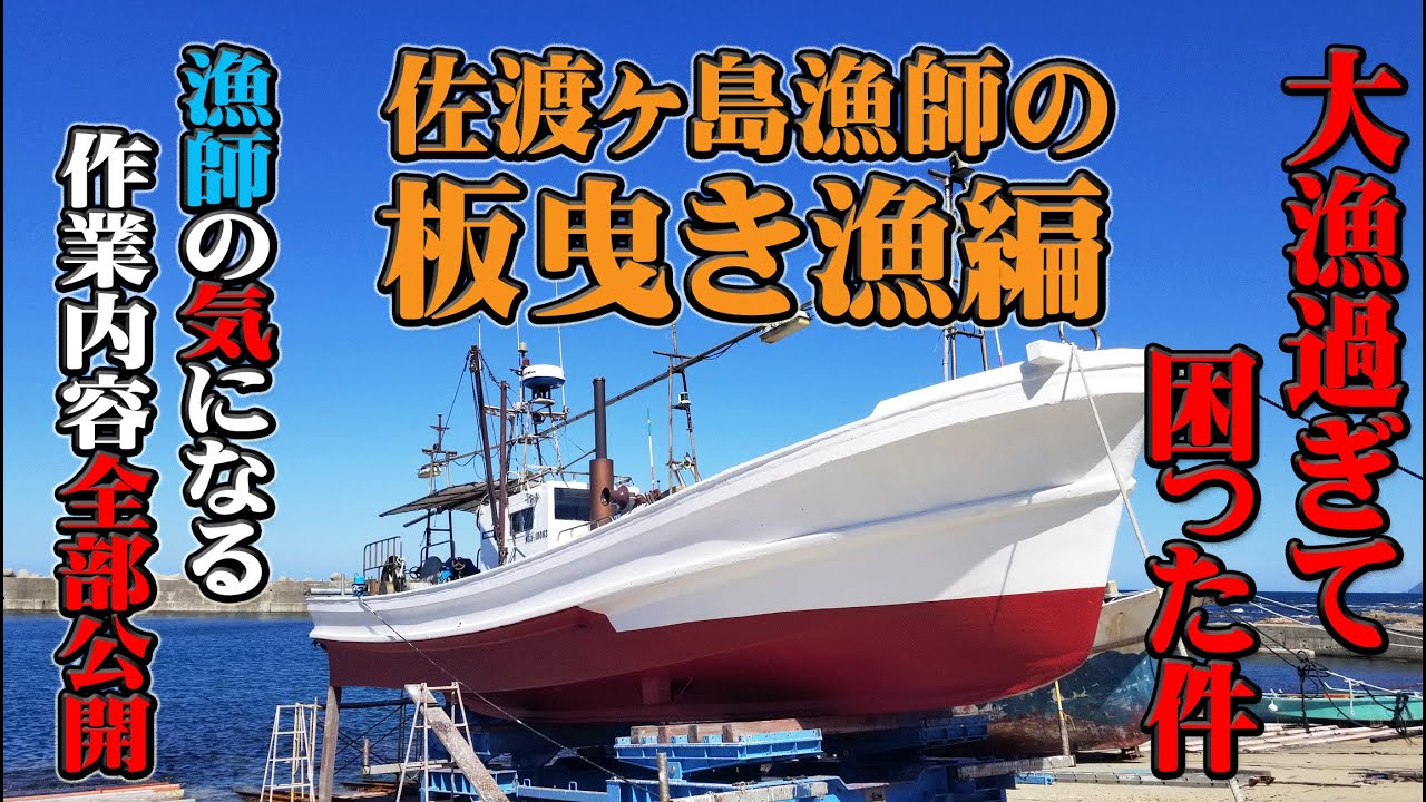 第一弾【網を上げたら○○が大漁だった‼】佐渡ヶ島 板曳き漁編