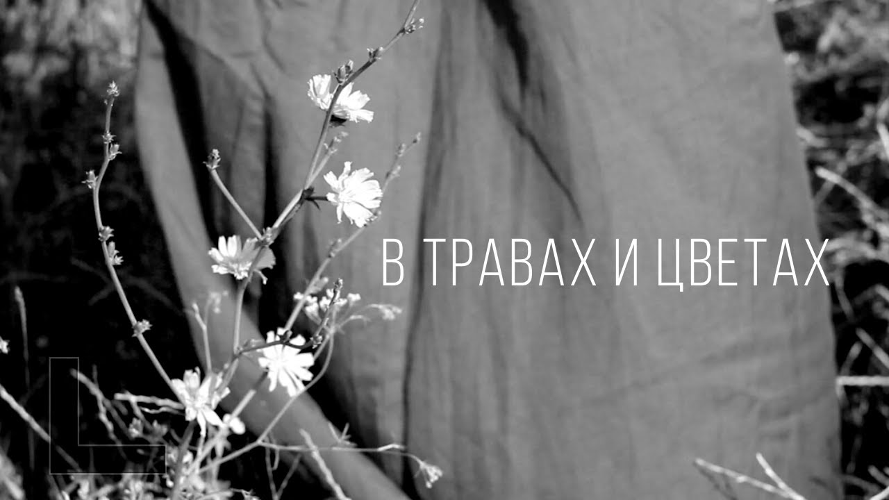 В травах и цветах. Документальный фильм о ботанике.