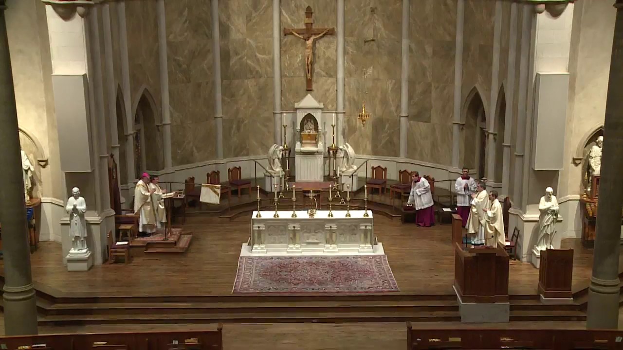 Holy Thursday Mass Live form Cathedral of St Paul