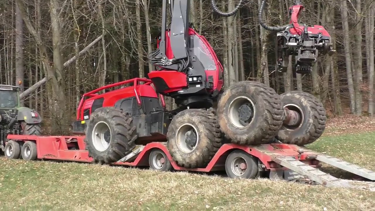 🌲🌲🌲 Best OF Logging 2020 🌲🌲🌲 Compilation