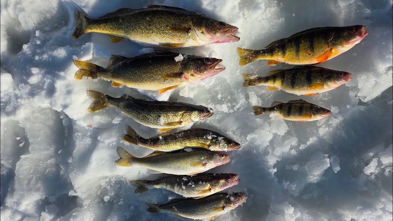 Saginaw Bay 2026 Ice Fishing 