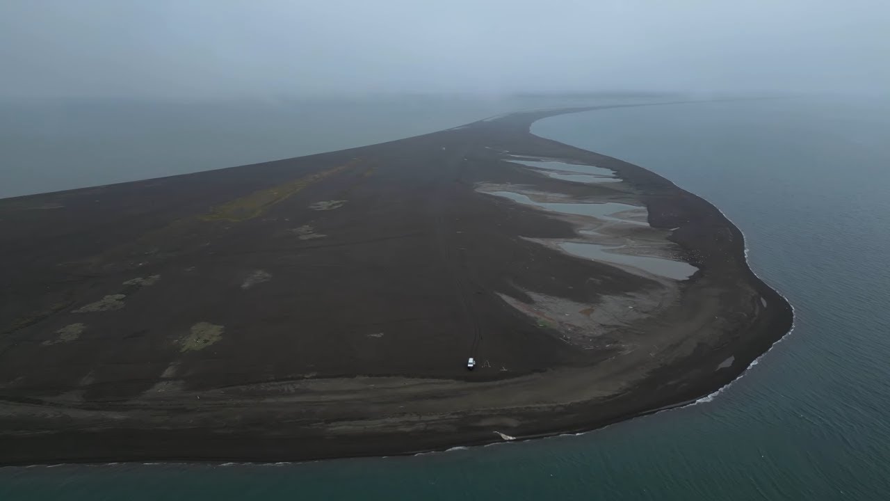Barrow, Alaska - Polar Bears