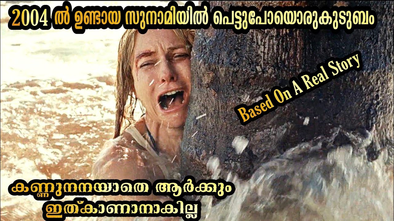 2004ൽ ഉണ്ടായ സുനാമിയിൽ അകപ്പെട്ടകുടുബത്തിന്റെ കഥ . യഥാർത്ഥ സംഭവത്തെ അടിസ്ഥാനമാക്കി എടുത്ത ചിത്രം