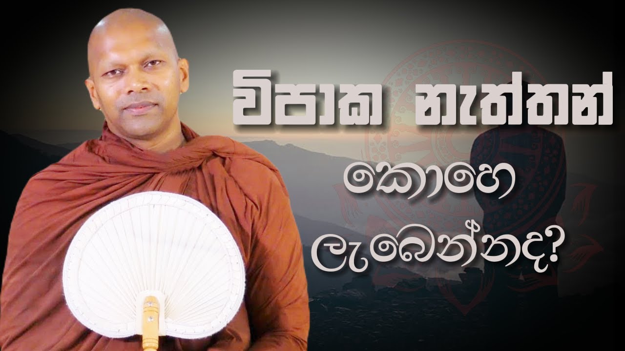 විපාක නැත්තන් කොහෙ ලැබෙන්නද? | Niwana Soya | Niwathapa Thero #sinhala  #deshana #buddhism