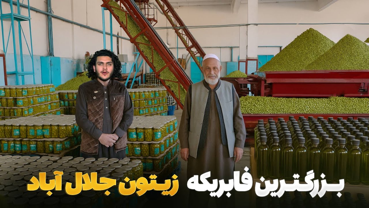 هی میدان طی میدان - دیدار باسط ایرج از بزرگترین فابریکه پروسس زیتون جلال آباد