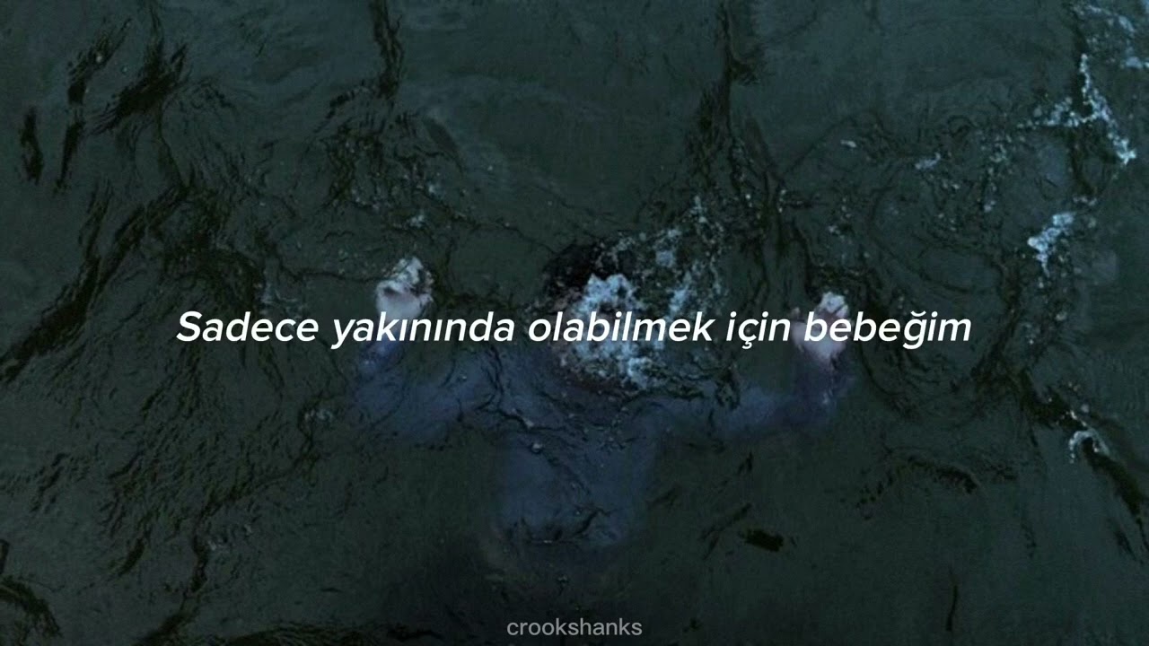 shawn mendes - mercy (türkçe çeviri)