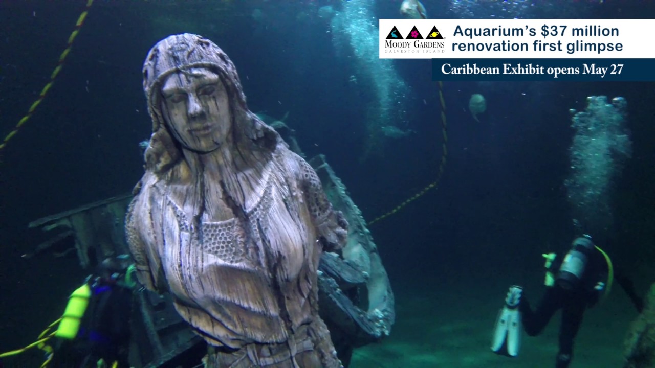 Caribbean Exhibit Underwater Shipwreck