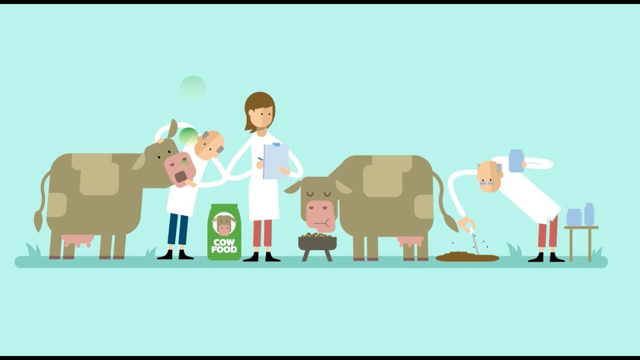 Wat is methaan? En welke rol speelt de veehouderij?