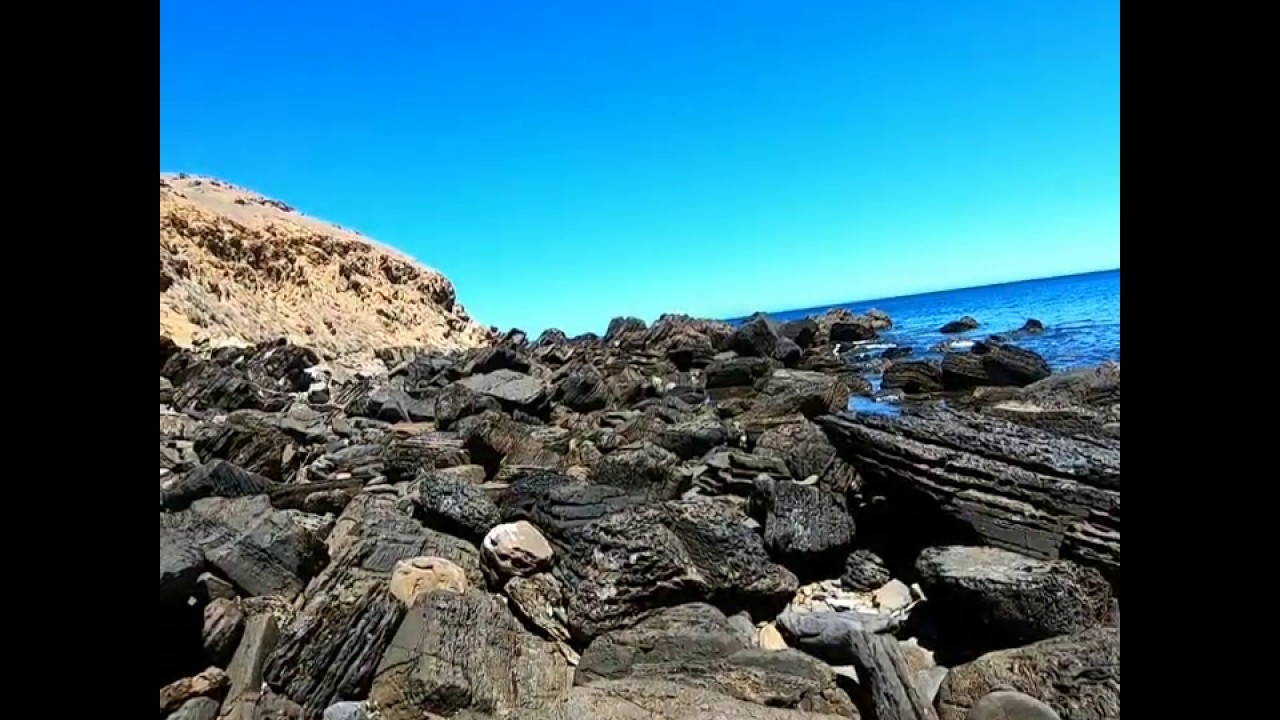 Rock fishing SA Drummer silver at South Australia 2019