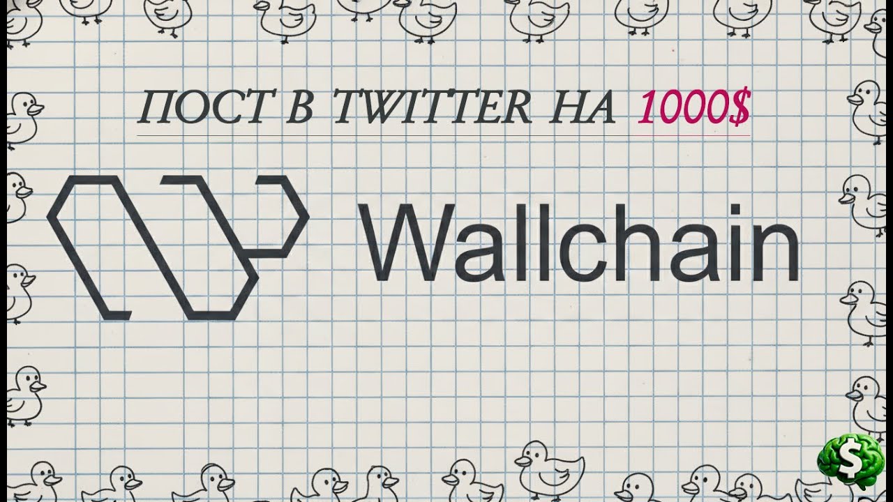 WALLCHAIN - УБИЙЦА KAITO? Новый InfoFi проект, который реально раздаёт.
