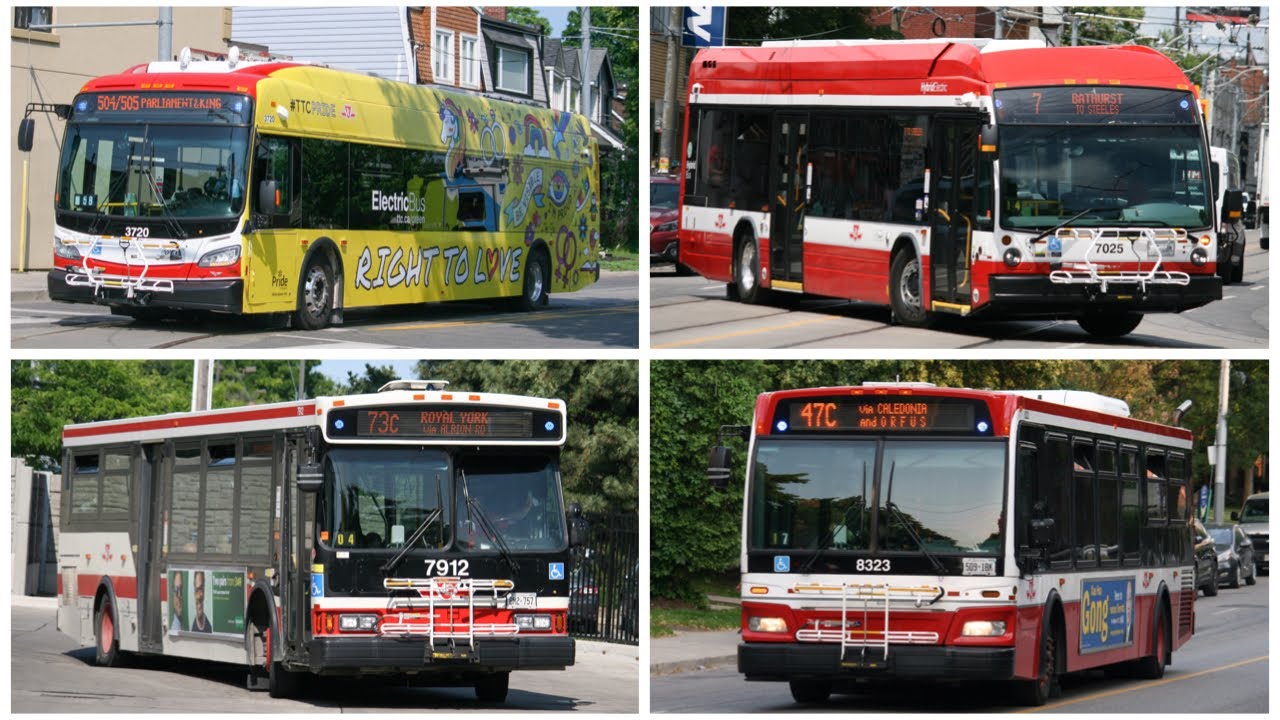 (Compilation) TTC Bus Action June/July 2023