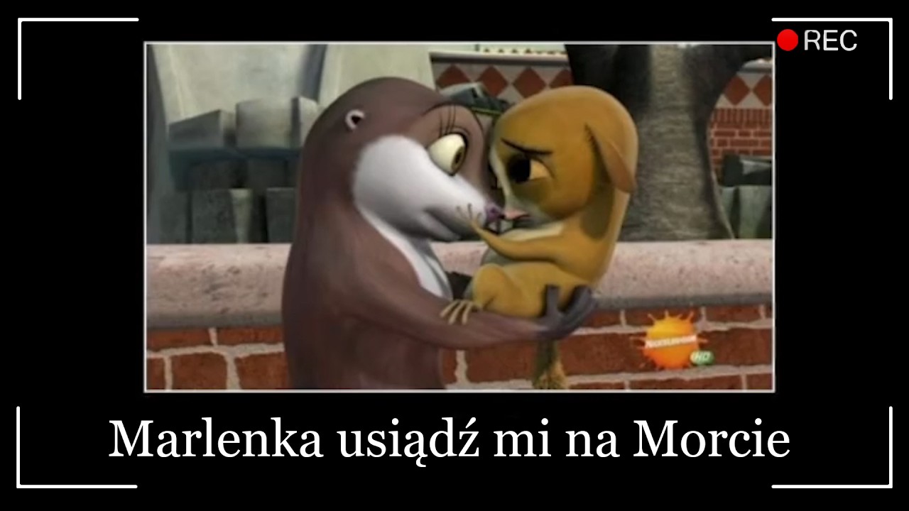 suche memy