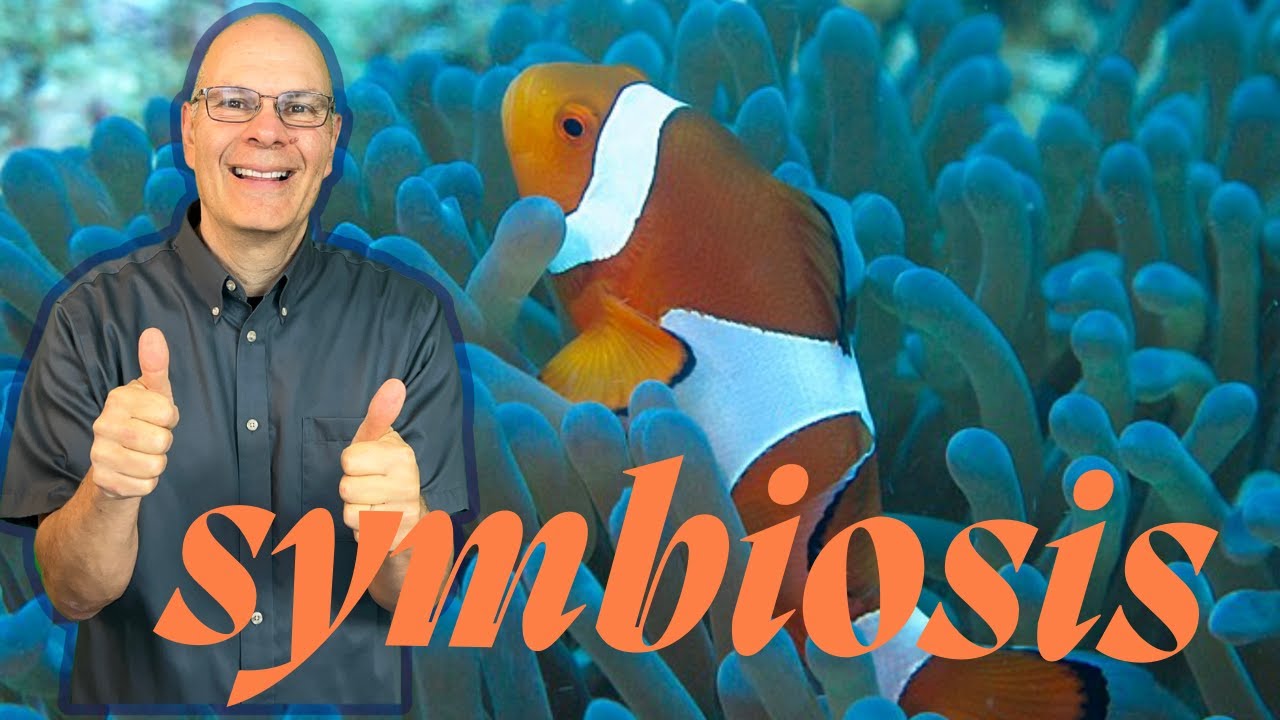 How Species Interact. Symbiosis Explained for AP Bio Students Like You!