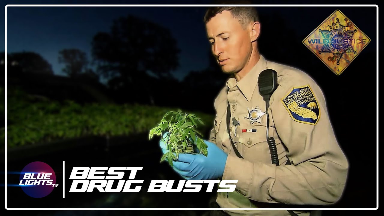 BEST Drug Busts On Wild Justice Season 1!