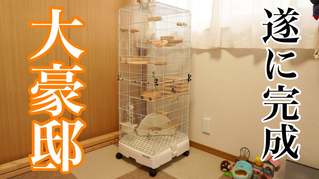 【増築】シマリスのケージを大豪邸に改造したらメンテナンス性も最強に！！【シマリス】
